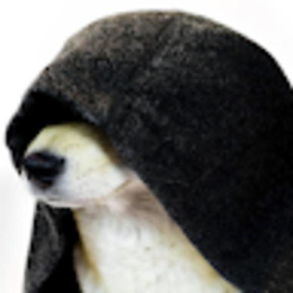 Meet your Posher, Megan - Picture 1 of 1